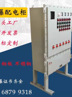 防爆配电箱控制柜铁不锈钢动力照明变频正压PLC断路Y仪表器接线定
