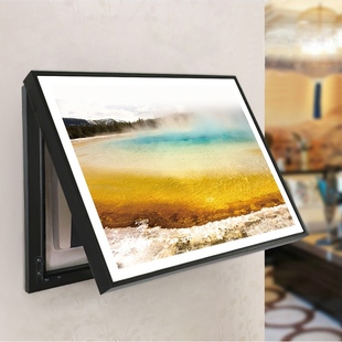 电表箱翻盖现代简约装饰画浴室防水遮挡突出物电闸总开关墙壁挂画