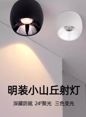 三色光led明装射灯防眩聚光24度客厅卧室过道走廊吸顶筒灯3W5W7W