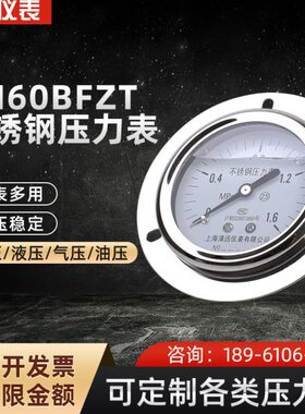 MpaBF边带Y0Z6轴/向6不锈钢耐震压力表60T..10/1-全耐震压力表N