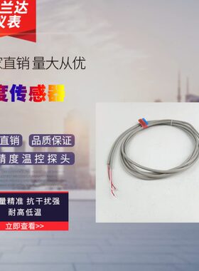 dn15/20/25/32/40/50/65品质保障温控PT金属探头温度传感器热电偶