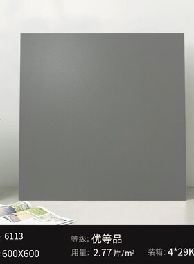 质感水泥灰色系哑光砖客厅防x滑地砖灰色复古瓷砖连锁工装耐磨磁