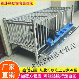 鸡窝新款不锈钢滚蛋笼自动滚蛋鸡笼家用蛋鸡笼鸡窝防鸡吃蛋防啄蛋