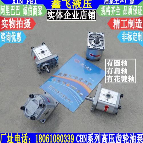 CBN-F304 CBN-F306 CBN-F308 CBN-F310 CBN-F312高压油泵 齿轮泵