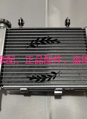 -BA油黄龙小/15水箱风扇组件散热器总成250器15J冷