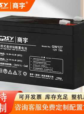 （CPSY）UPS不间断电源电池 商宇原装电池 商宇电池 GW127AH