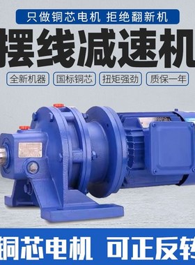 摆线针轮减速机三相380V国标行星降速提升搅拌机BWY/WBWD铜芯电机