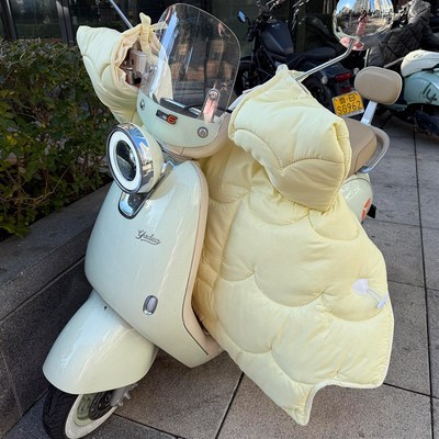 奶呼呼电动车挡风被四季通用冬z季加厚双面防水加大侧翼电车防风