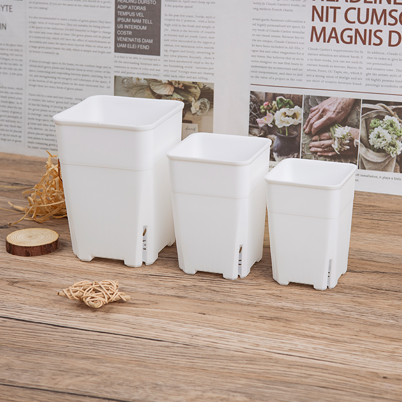 万象盆方形韩式多肉花盆塑料小号宽口玉露仙人Q球老桩控根高盆包