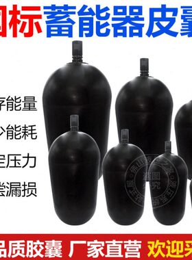 L .063L10 16皮囊110 N25 L6X L 8LL4LL403L0L . 蓄能 L 2.56Q器