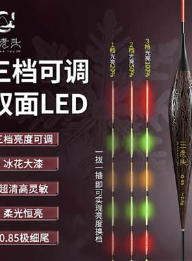三老头G系列可变档LED夜光漂日夜两用电子漂鲫鱼漂醒目变色浮漂