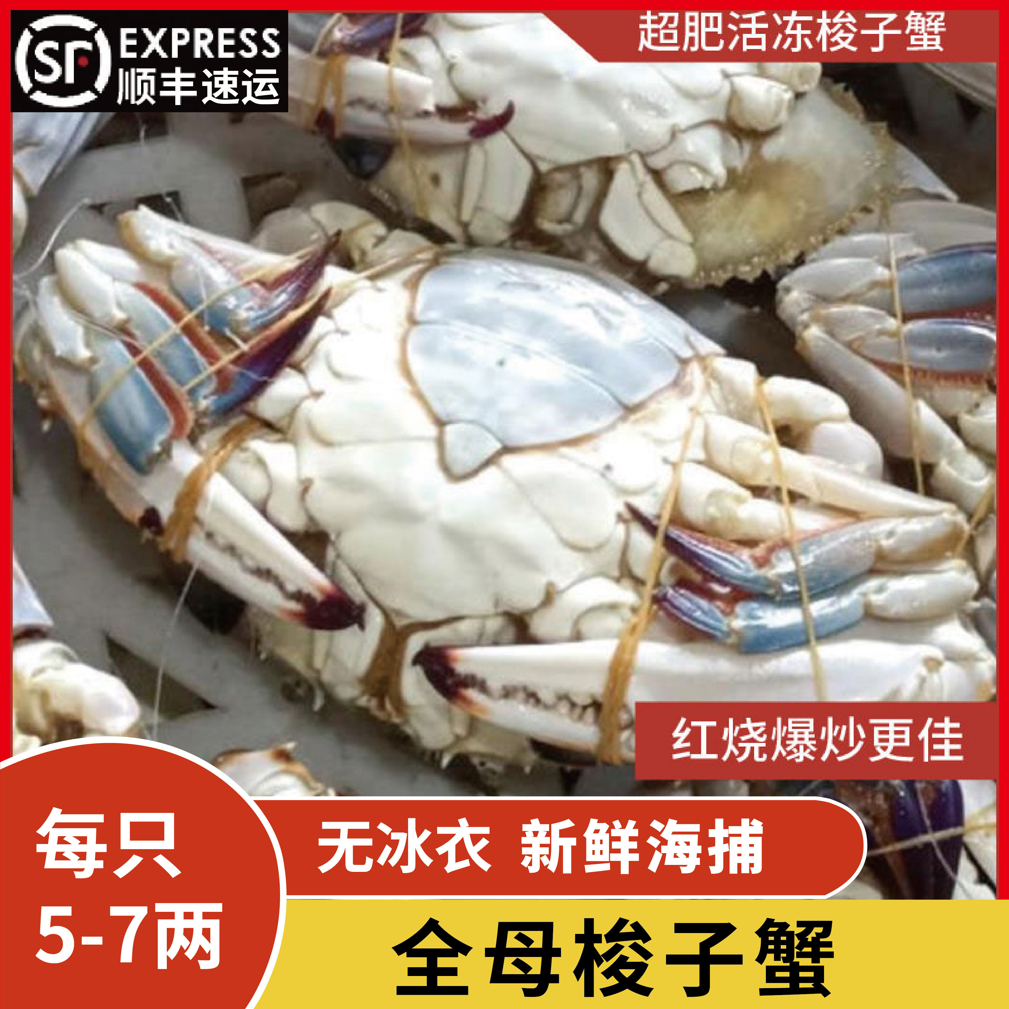 3斤全母梭子蟹连云港冷冻海螃蟹大海蟹母蟹兰花蟹飞蟹海鲜水产