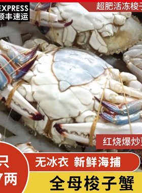 3斤全母梭子蟹连云港冷冻海螃蟹大海蟹母蟹兰花蟹飞蟹海鲜水产