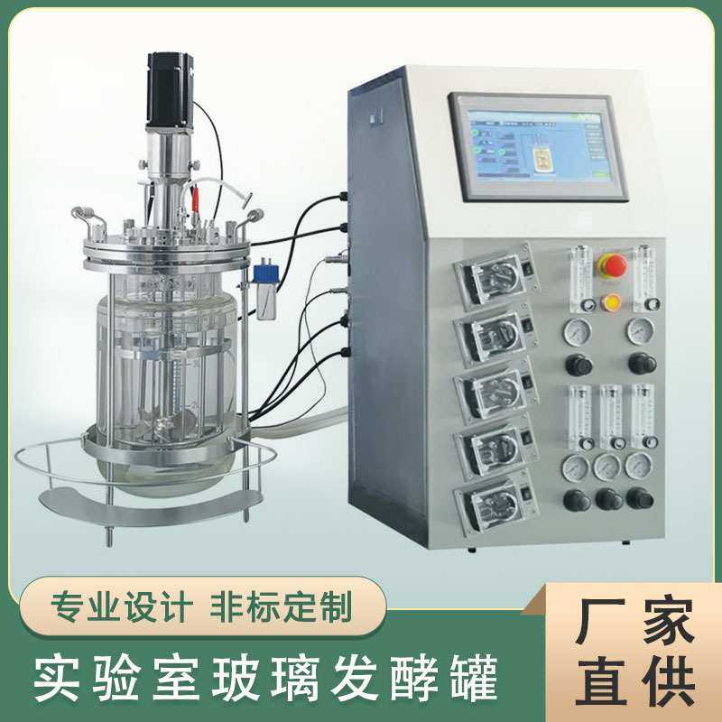 5L玻璃发酵罐 多功能磁力搅拌设备 机械搅拌玻璃发酵罐实验设备