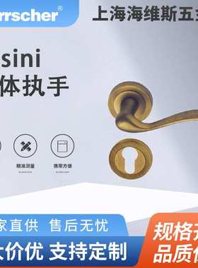 意大利进口Pasini铜分体执手ART.1011环保酒店住宅入户室内门把手