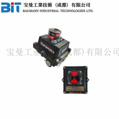 艾默生TopWorx回讯开关DXP-MX1GNEB000005504带变送器防爆开关