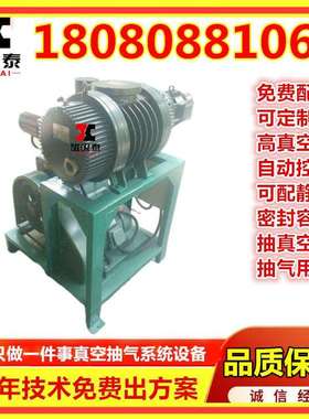 JZJX150-5真空机组ZJP150罗茨旋片式真空泵机组2x30A真空抽气设备