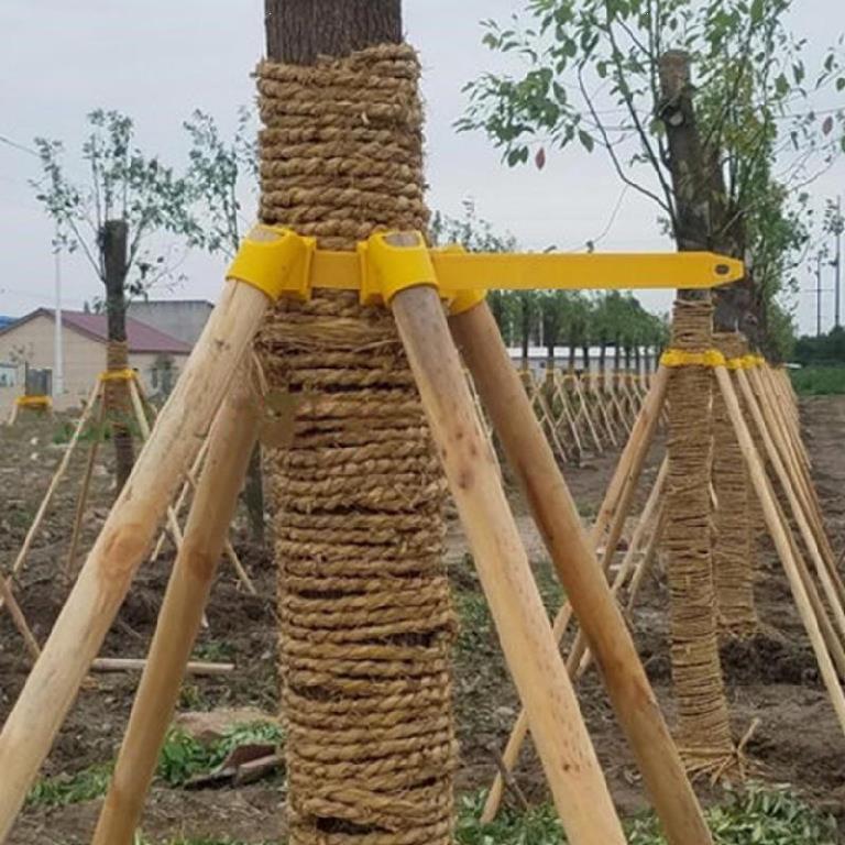 新款树木支撑架套环支撑杆木杆园y艺支架整枝工程耐用型套件抱箍