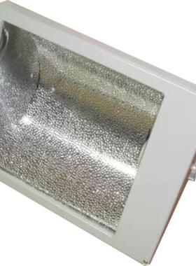 FFd系列防水防尘泛光灯175W250W400W