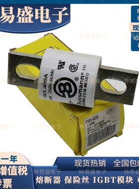 BUSSMANN伊顿快速熔断器FWX-300A-350A-400A-450A-500A保险丝