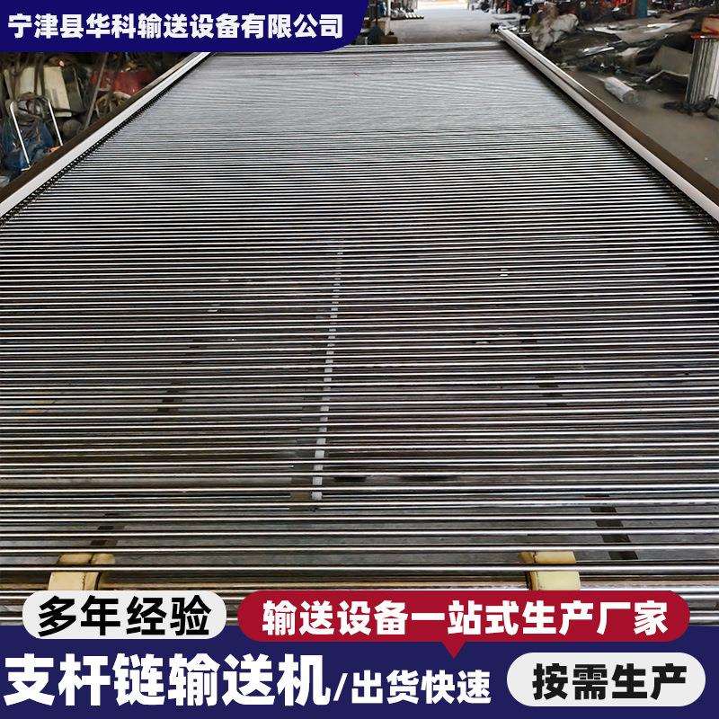 不锈钢支轴链输送机白萝卜周转筐喷淋瓜果清洗链条式支杆链传送机
