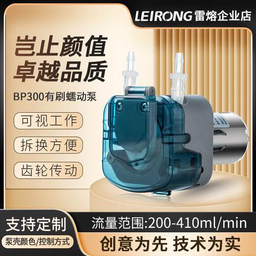 雷熔微小型BP300有刷电机蠕动泵实验室抽水泵头工业灌装机自吸