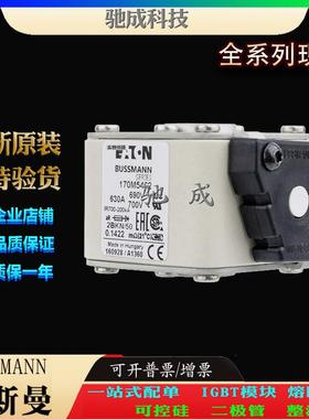 巴斯曼170M5460 170M5461 170M5462 经销销售价优 快速熔断器