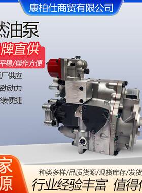 4060797康明斯PT燃油泵总成NT855-C280-BC3 高原推土机 零售