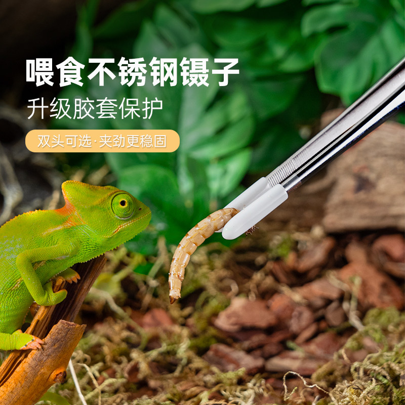 不锈钢防滑喂食镊子加长爬宠昆虫夹子蟋蟀面包虫守宫角蛙粪便夹