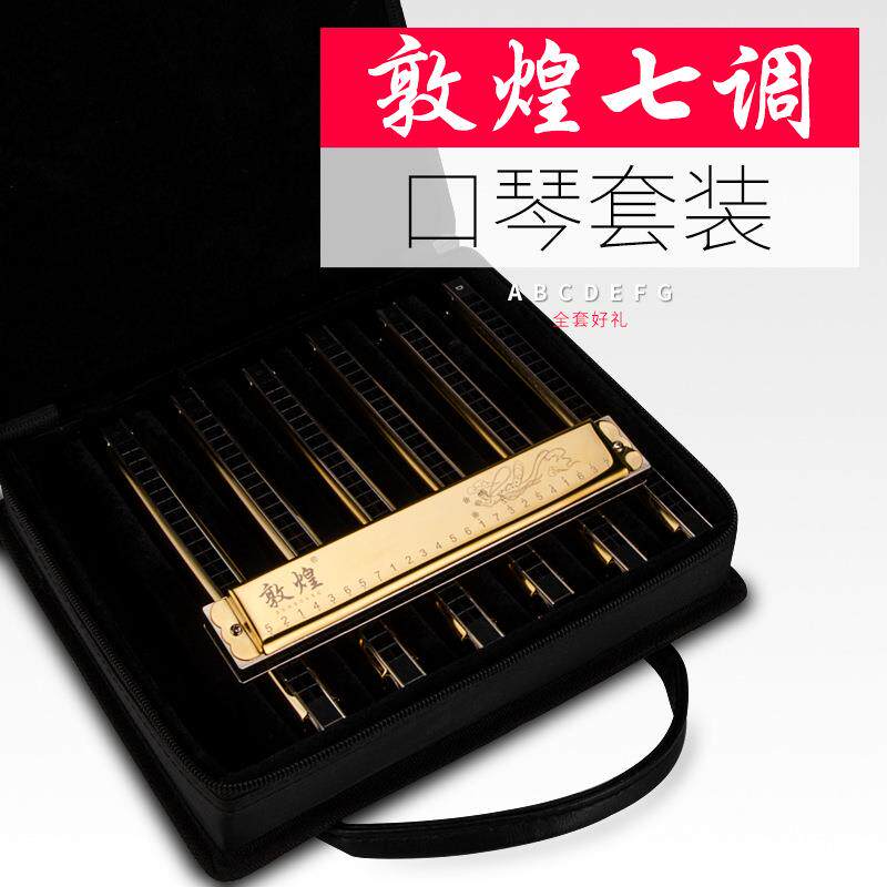 敦煌套装口琴24孔7调复音C调特别调套装口琴成人儿童初学演奏乐器