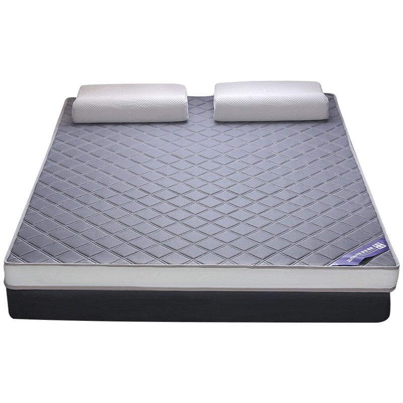 定制榻榻米乳胶床垫加厚家用软垫子2.2m褥子海绵冬季专打地铺神器