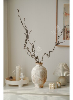 花曌 龙爪枣枯枝干支干树枝造景禅意诧寂风民宿家居氛围感好物