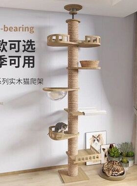 顶天立地猫爬架通天柱实木小户型太空舱猫咪攀爬架猫爬架一体diy