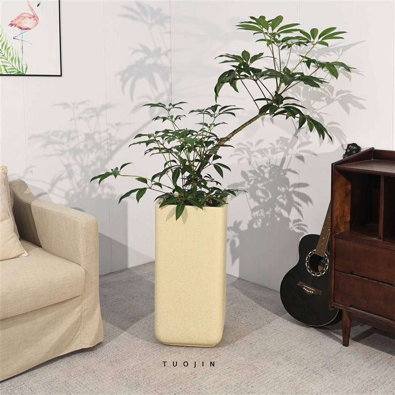 方形大口径镁泥花盆黄荆树绿植花盆落地客厅水泥花盆透气耐用高款