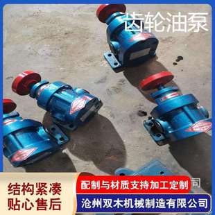泊双木供应油泵2CY 系列齿轮油泵CB系列过滤机配套齿轮泵现货