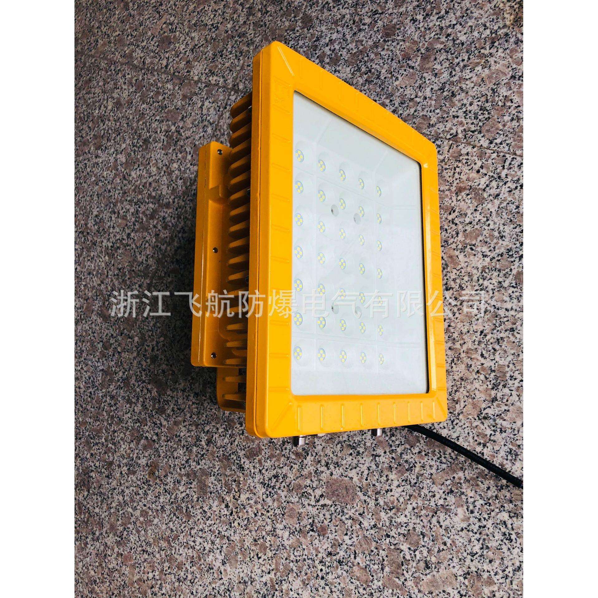 LED防爆灯400W 200W 300WLED防爆投光灯 100WLED防爆灯