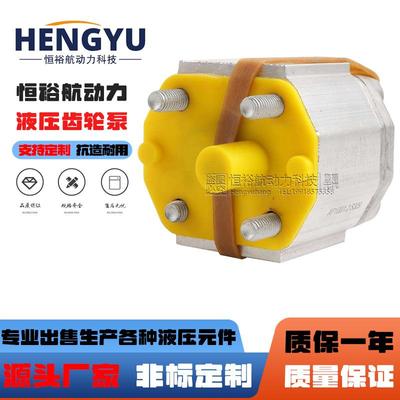 布赫BUCHER齿轮泵D-EP100/4.3S309液压泵D-EP100/3.5S309高压油泵