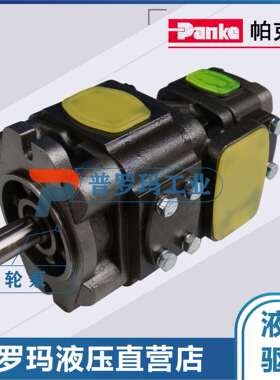Panke内啮合齿轮泵双联泵伺服电机专用油泵 PV6/4-80-25-02A01FR