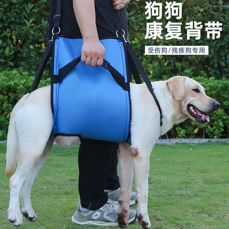 宠物胸背带狗狗辅助带可提u可肩残疾受伤老龄犬上下楼行走康复背