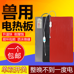 电热板兽用不锈钢保温加热板母猪产床保温箱养殖场小仔猪用电热板