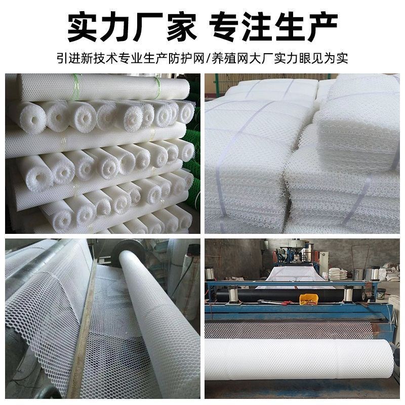 超厚50米型养殖网漏o粪网加厚育雏网养鸡网脚垫防卡脚养蜂网塑料