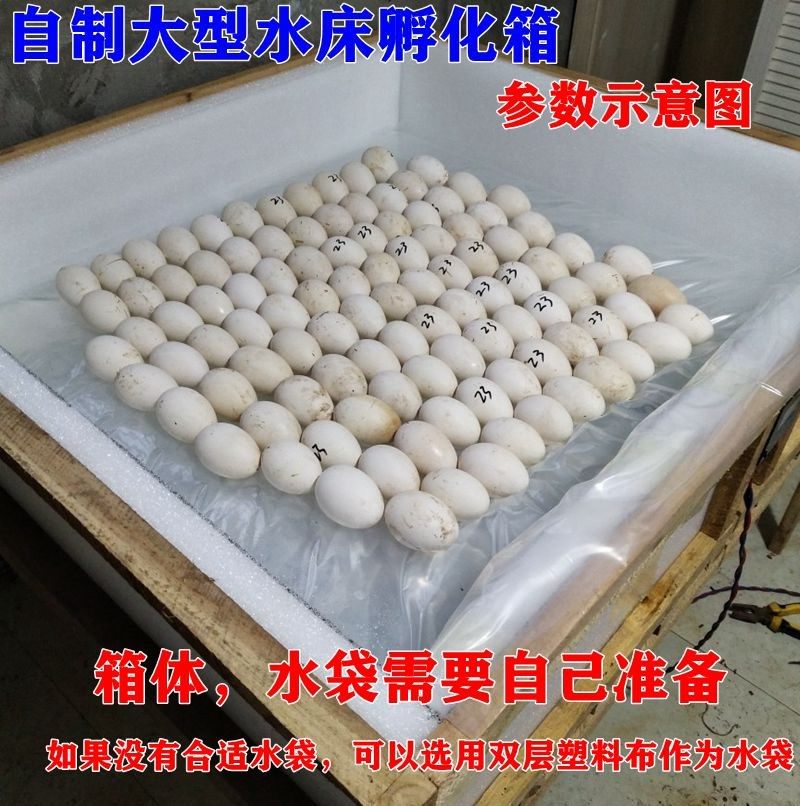 自动控温小型孵化自制大型水床孵化器小鸡鹌鹑鸽子蛋孵化机孵蛋器