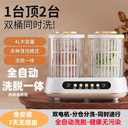 迷你便携双杯内衣洗衣机