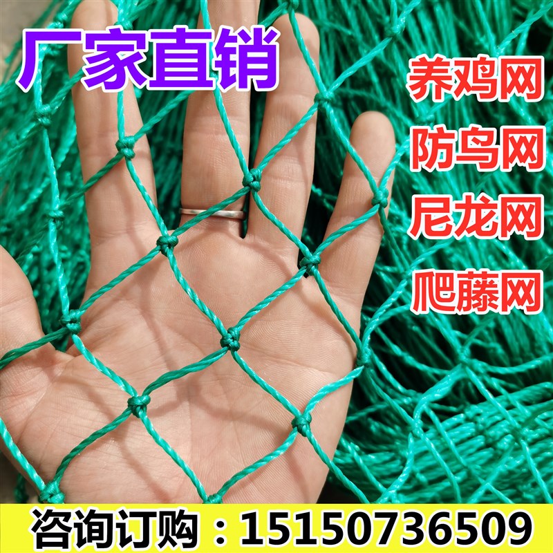 尼龙养殖网养鸡网护栏网塑料网鸡网菜园网防护网