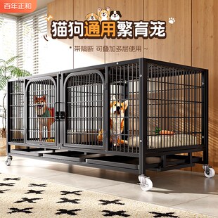 狗笼子繁殖笼大中小型犬寄样繁育B带隔断厕所托盘宠物店子母鸽子