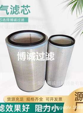 空气滤芯 AF25276 AF25277 P550940 1109N12020 61020095