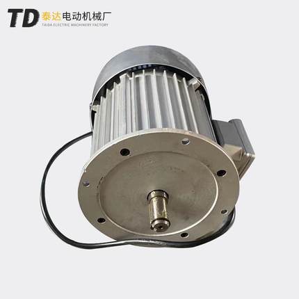源头工厂 TD YCL7124D磨抛机电机220V 试验仪器电机