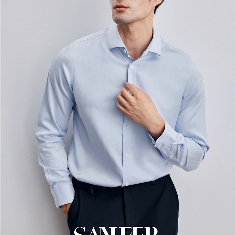 商务绅士 100支双股长绒棉 DP免烫商务正装男士白衬衫 DAH436