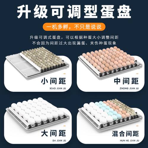 小鸡孵化机全自动鸡鸭鹅苗孵化箱芦丁鸡孵化器小型家用智能孵蛋器