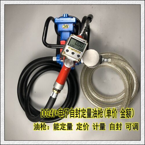 防爆汽油泵抽油泵直流自吸抽柴油汽油加油机泵DC12V 24V AC220V